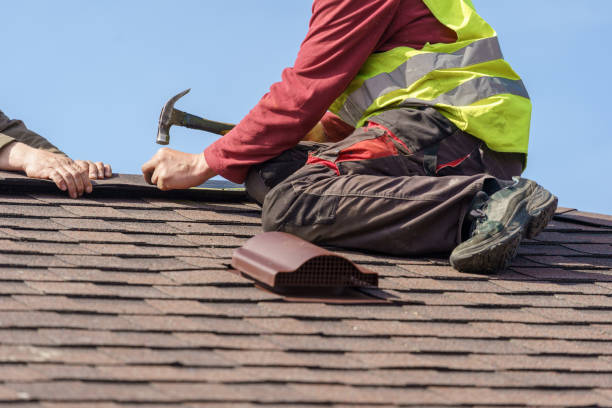 Best Sealant for Roof  in Han, GA