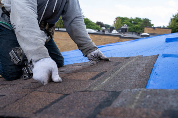 Best Commercial Roofing Services  in Han, GA