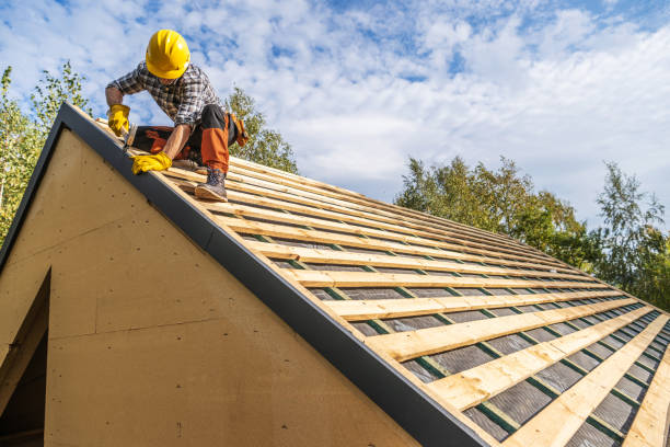 Best Roof Repair Services  in Han, GA