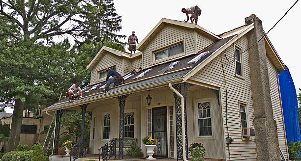 Best Local Roofing Companies  in Han, GA