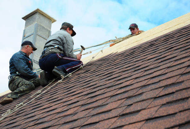 Gutter Installation and Roofing in Hagan, GA