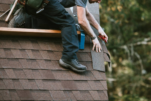 Best Metal Roofing Contractor  in Han, GA